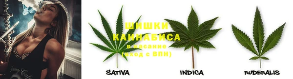 соль ск Аркадак