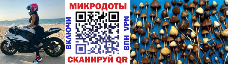 даркнет сайт  Краснодар  Галлюциногенные грибы ЛСД 